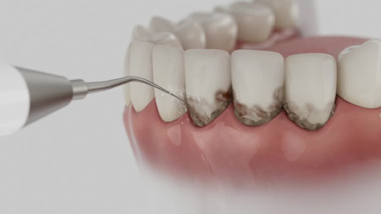 Reliable Dental contractor in Roscommon, MI by Dentist Open Now